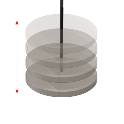 BERG Disc swing