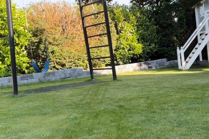 Afb 2 Whats App Image 2025 02 22 at 12 36 33