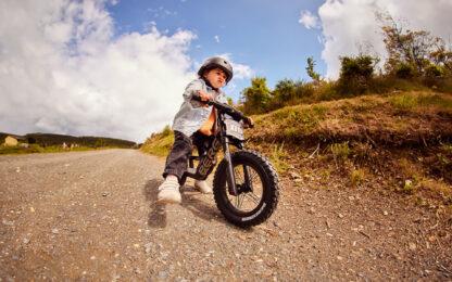 BERG Biky Cross 26 1