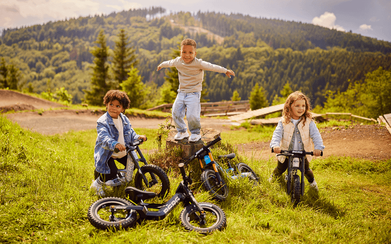 BERG Biky Cross Handbrake M2